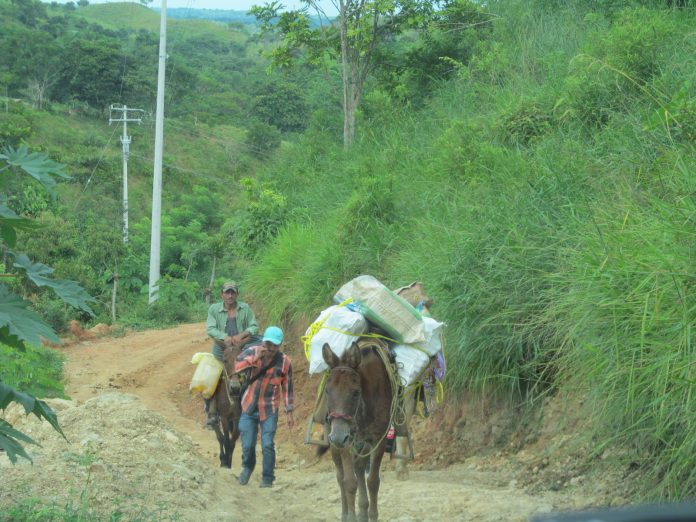 EJIDOS1