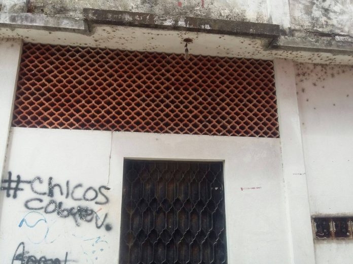 Casa abandonada está siendo desvalijada por ladrones1
