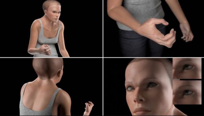 Evolución cuerpo humano