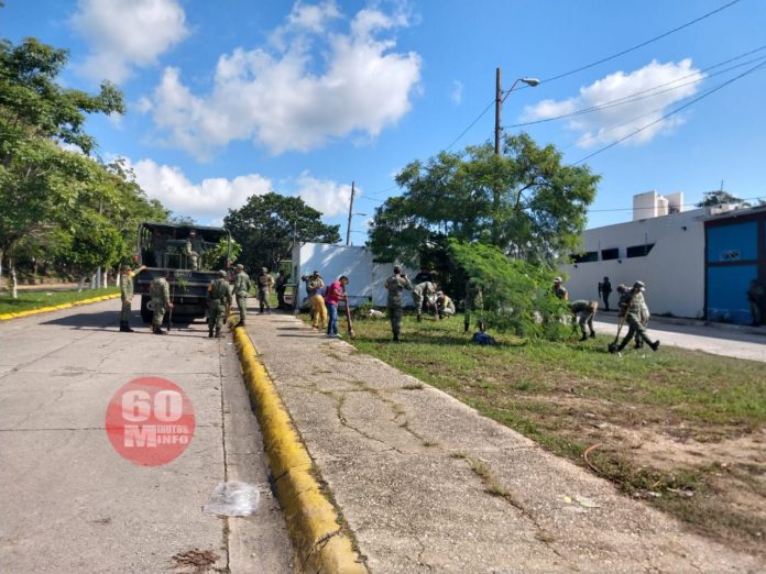 Realizan reforestación en Nanchital