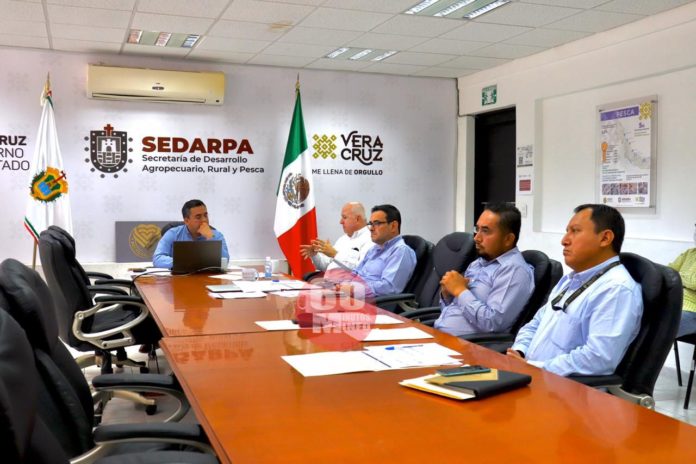 Apuesta SEDARPA a esquemas de sanidad y Seguro Agrícola para garantizar producción alimentaria