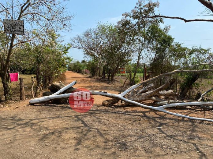Para evitar entrada de turistas, colocan troncos en entrada de la comunidad Naranjos