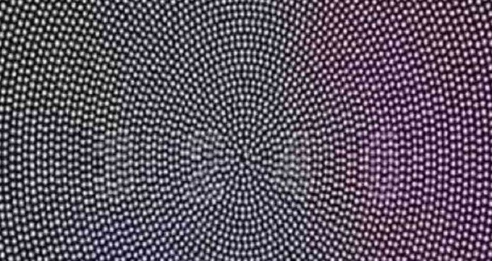 669683_1