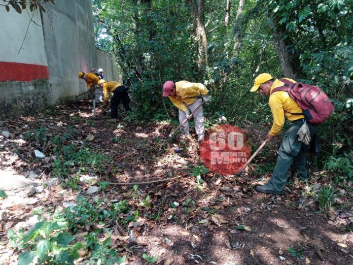 SEDEMA previene incendios en Áreas Naturales Protegidas; atendió el “Cerro de la Galaxia”
