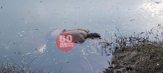 Hallan cuerpo flotando en un río, en Espinal