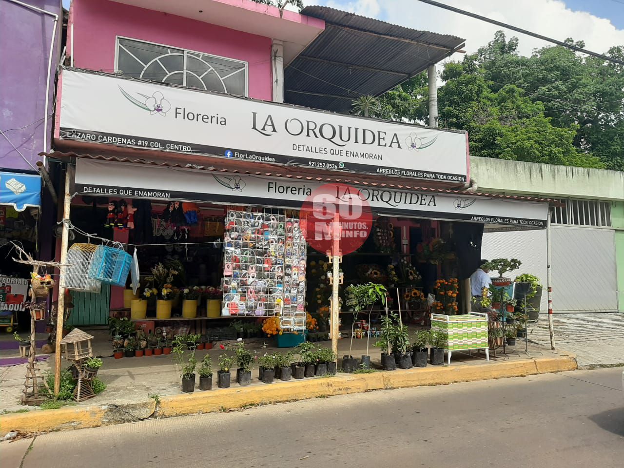 Pandemia golpea venta de flores en temporada de Día de Muertos - 60 Minutos