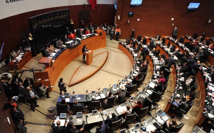 Senado prohíbe venta de “comida chatarra” en las escuelas del país