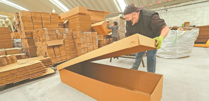 cajas de carton