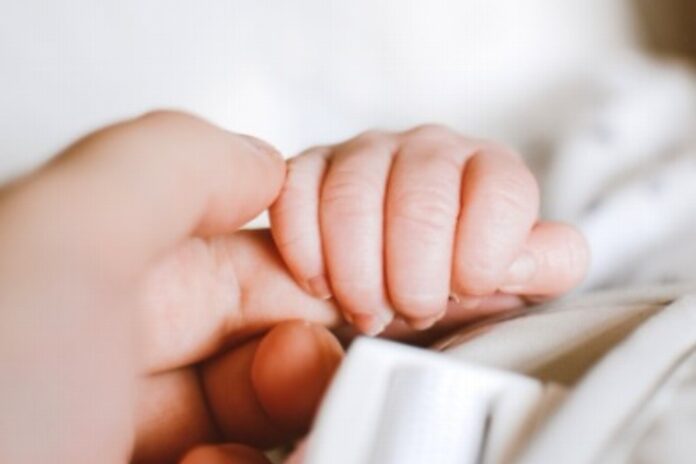 bebe anticuerpos