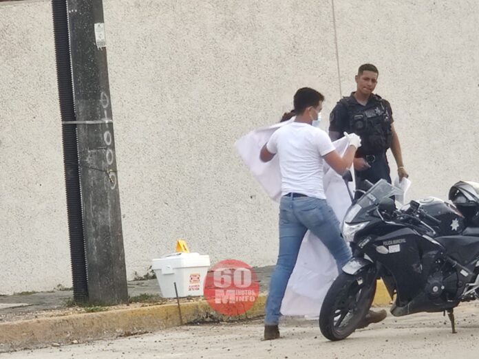 Hallan cabeza de cochino frente al poder judicial al poniente de Coatzacoalcos4