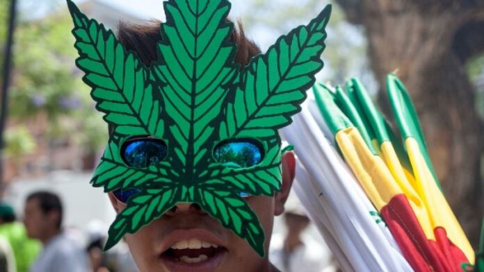 Cofepris debe dar a conocer normatividad vigente para el uso de la mariguana Inai