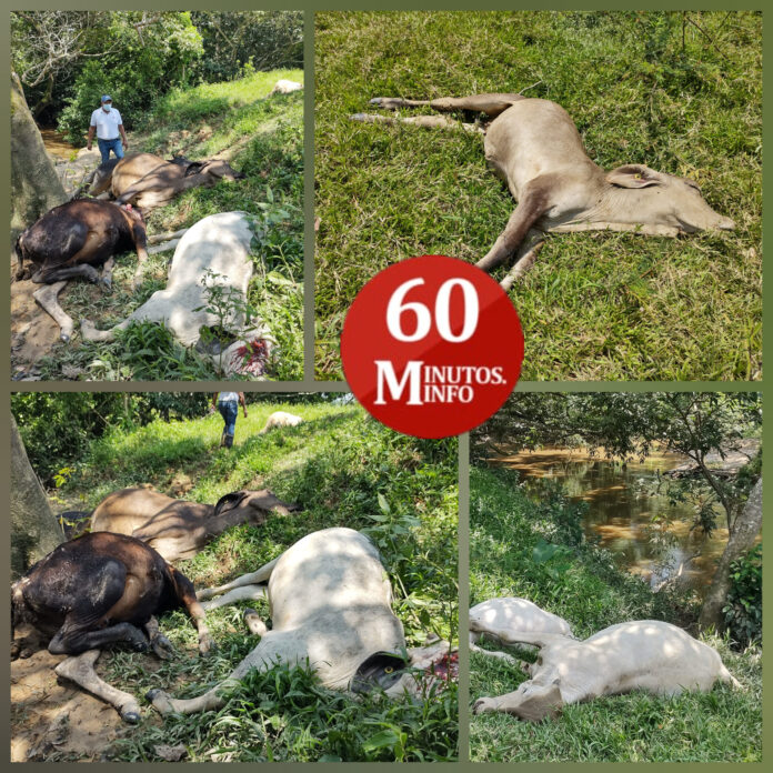 InShot_20210809_164707276