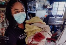Mujeres policías de Ecatepec auxilian a madre e hijo en labor de parto