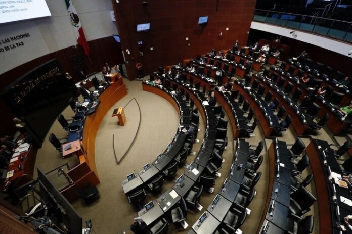 image_large (3)