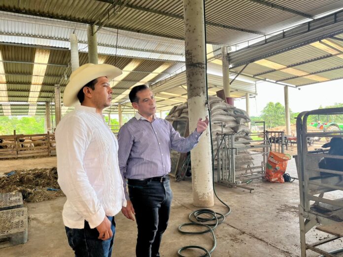 Juntos buscaran el fortalecimiento a productoras y productores veracruzanos, a través de cursos y capacitaciones por indicaciones del gobernador del estado Cuitláhuac García Jiménez