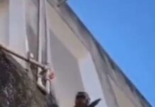 Viral en las redes: Mono armado con machete asusta a vecinos en Brasil (VIDEO)