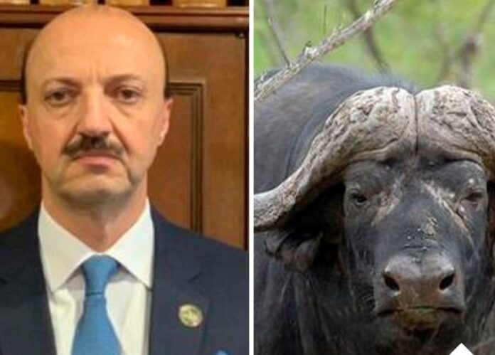 l cazador mexicano Mario Alberto Canales perdió la vida luego de dispararle a un búfalo que cazaba