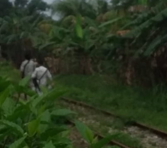GUARDIA NACIONAL CAZAN MIGRANTES EN MOLOACAN