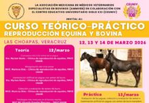 CEUNIV ofrece Curso Teórico-Práctico de Reproducción Equina y Bovina.!