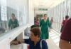 🚨 INDIGNACIÓN EN TAPACHULA: PACIENTES DEL IMSS DEBEN ARRODILLARSE PARA SER ATENDIDOS 🚨