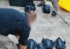 🚨 Golpe histórico al crimen organizado en Tierra Blanca, Veracruz 🚨