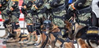México envía 261 elementos de ayuda humanitaria a Venezuela tras los sismos del 24 de junio