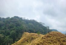 Denuncian campesinos que contaminación del pozo Krem-1 está secando la vegetación; exigen respuesta de Pemex