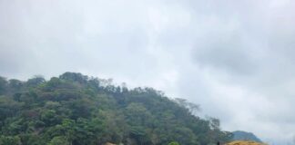 Denuncian campesinos que contaminación del pozo Krem-1 está secando la vegetación; exigen respuesta de Pemex