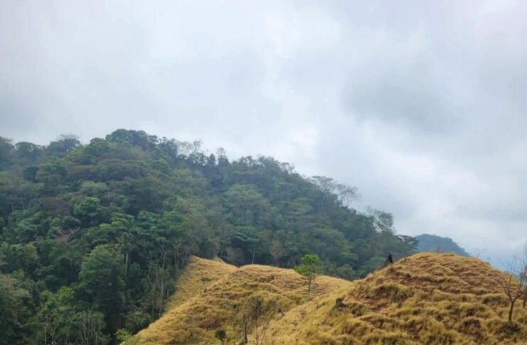 Denuncian campesinos que contaminación del pozo Krem-1 está secando la vegetación; exigen respuesta de Pemex