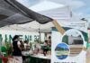 Realiza IMSS Veracruz Sur Feria de la Salud en Coatzacoalcos