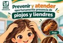 🩺 IMSS Veracruz Sur recomienda prevenir y atender oportunamente piojos y liendres