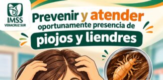 🩺 IMSS Veracruz Sur recomienda prevenir y atender oportunamente piojos y liendres