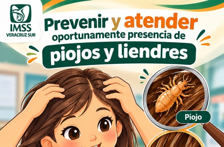 🩺 IMSS Veracruz Sur recomienda prevenir y atender oportunamente piojos y liendres