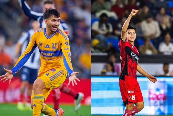 LIGUILLA-1-1024x685
