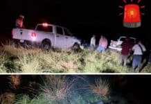 Muere campesino tras ataque de cocodrilo al intentar rescatar a su yegua en Tuxpan
