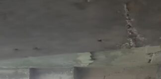 Coatzacoalcos 🚨 Preocupa estado del muelle donde miles celebran a la Virgen del Carmen