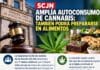 ⚖️ SCJN AMPLÍA AUTOCONSUMO DE CANNABIS: TAMBIÉN PODRÁ PREPARARSE EN ALIMENTOS