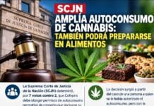⚖️ SCJN AMPLÍA AUTOCONSUMO DE CANNABIS: TAMBIÉN PODRÁ PREPARARSE EN ALIMENTOS