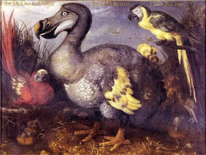 cientificos-dan-paso-clave-para-la-recuperacion-del-extinto-dodo-con-celulas-de-pariente-vivo_a02f4144-bc5f-4921-a695-89f40ace8fa1_medialjnimgndimage=fullsize