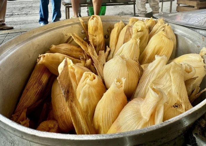 dan-de-alta-a-nina-la-ultima-de-siete-menores-intoxicados-por-tamales-con-fentanilo-en-huauchinango_d8442c90-ddf4-4363-b8cf-d9569e778227_medialjnimgndimage=fullsize