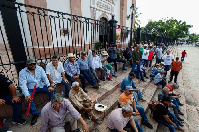 hay-intereres-politicos-en-algunas-protestas-de-productores-de-maiz-insiste-sheinbaum_7dcae5b7-a7b3-46d6-960b-d228867cb1a7_medialjnimgndimage=fullsize